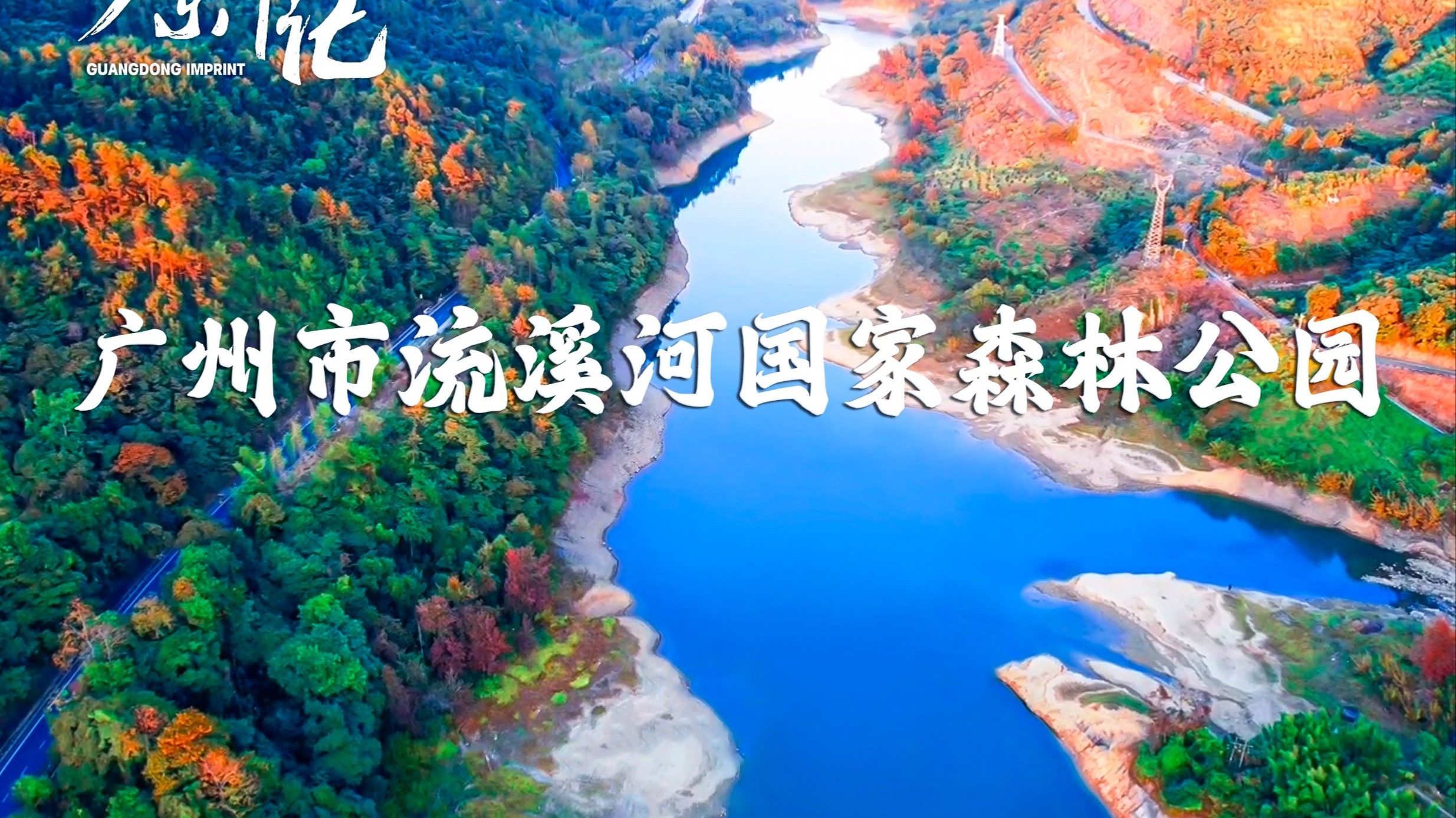 探秘羊城后花园——广州市流溪河国家森林公园