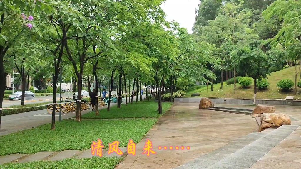 龙岗区回龙埔公园东门掠影