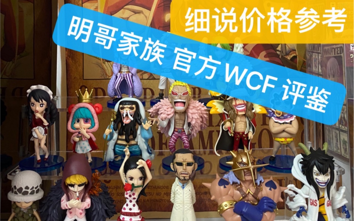 评鉴:小唐家族WCF 官方全 介绍评测及价格预算哔哩哔哩bilibili