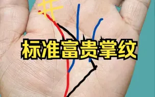 Tải video: 标准富贵掌纹