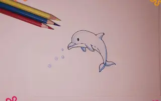 海豚简笔画 搜索结果 哔哩哔哩 Bilibili