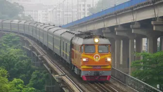 肇庆西江公铁大桥拍车，橘子k841，拆猪