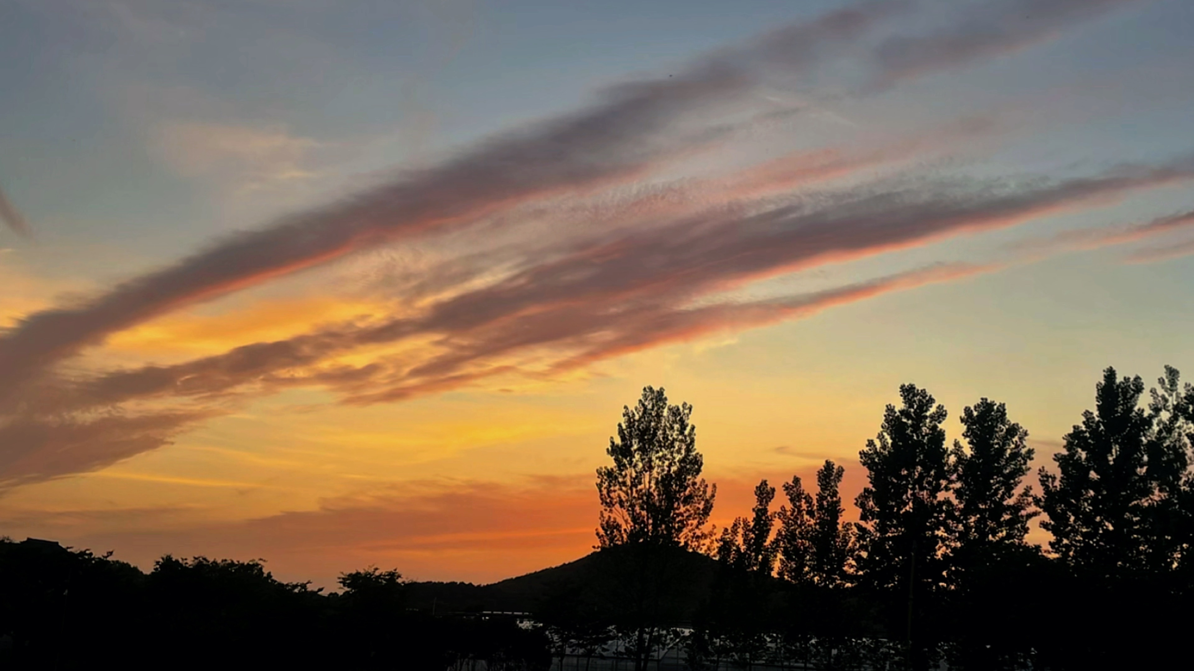 不知不觉夏天到了