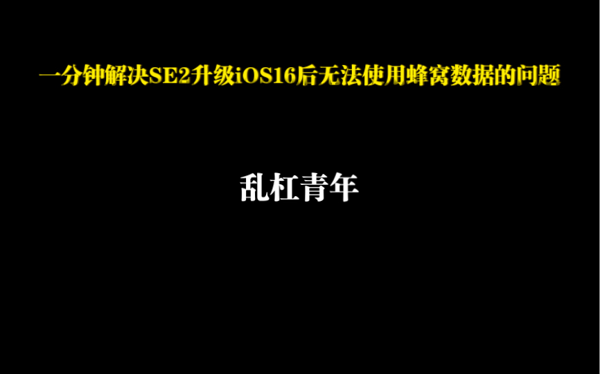 一分钟解决iPhone SE2升级iOS16无法使用蜂窝网络哔哩哔哩bilibili