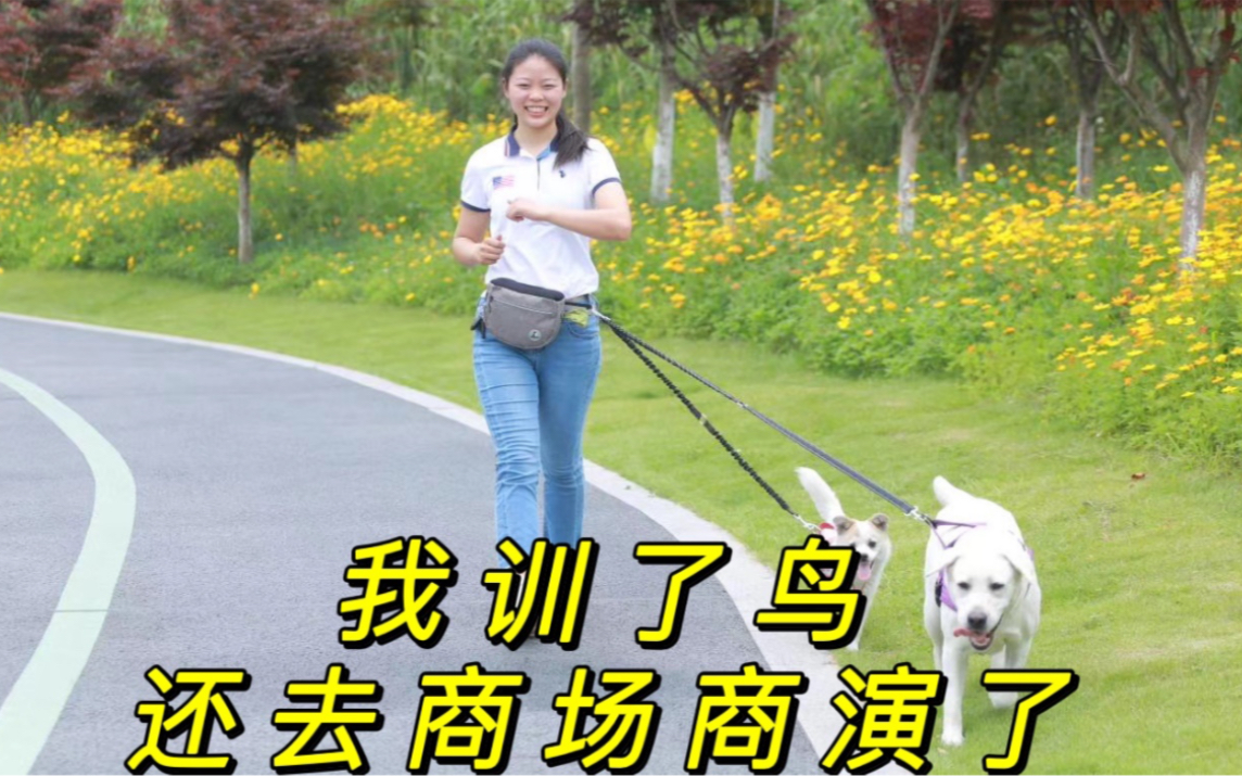 [图]我是一名女训犬师： 给你们看看另一面的我！