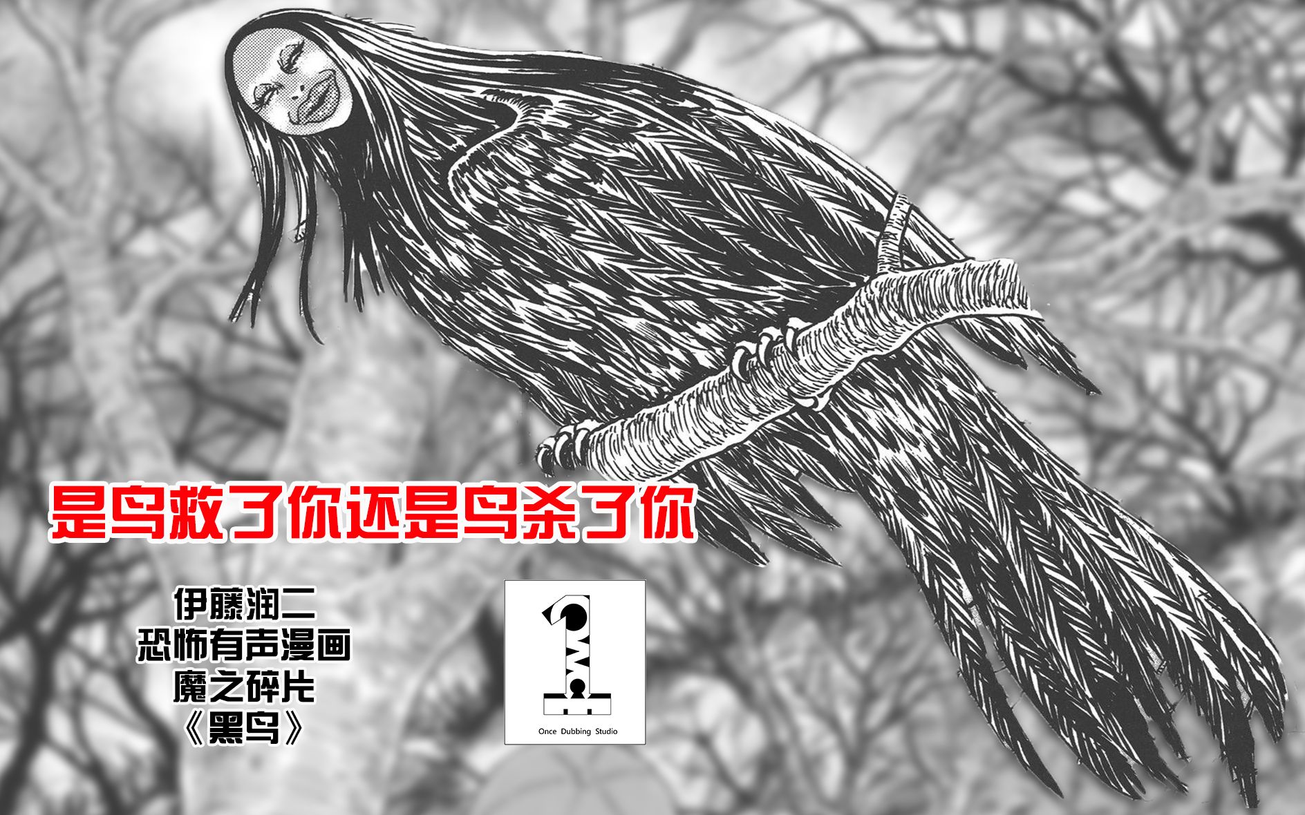 [图]【伊藤润二】是鸟救了你还是鸟杀了你！有声漫画《黑鸟》【一次性配音组】