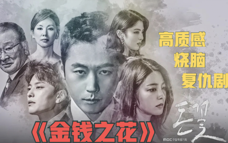 《金钱之花》17,私生子一波三折的复仇路,揭露财阀的黑暗与丑闻|张赫