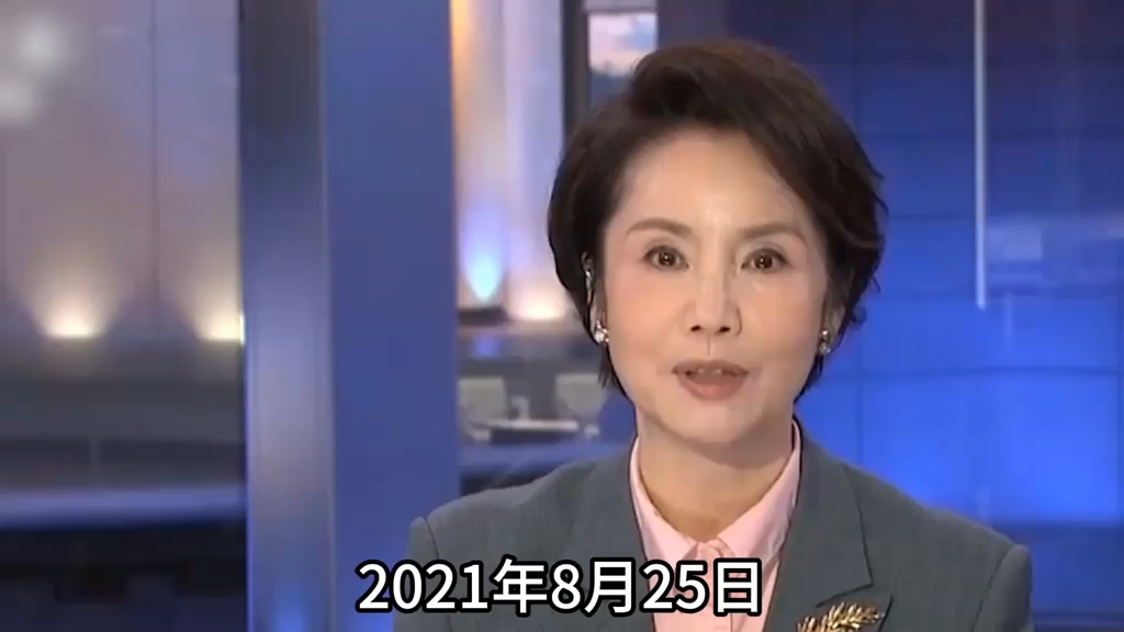 徐俐:《中国新闻》首个女主播,60岁正式退休央视,晚年过得怎样