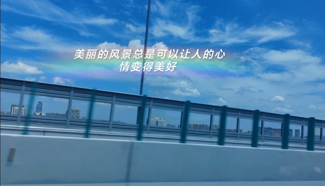 【紫玫洛奇】新作上线,快来看看!哔哩哔哩bilibili