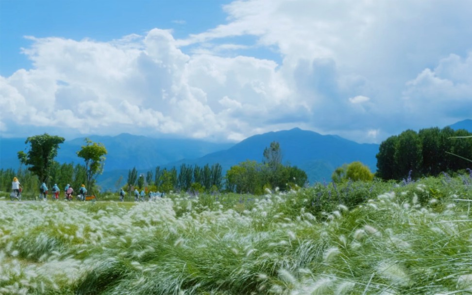 [图]洱海的夏天，就像一首浪漫治愈的童谣