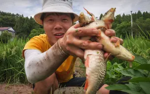 Video herunterladen: 一个田取了80条稻花鱼，炖一大锅围着吃，什么家庭条件？！