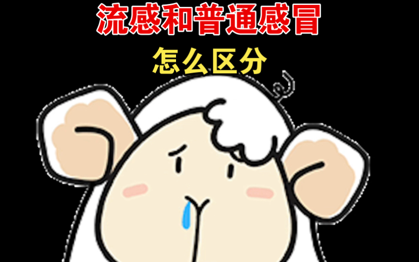 如何区分普通感冒和流感哔哩哔哩bilibili