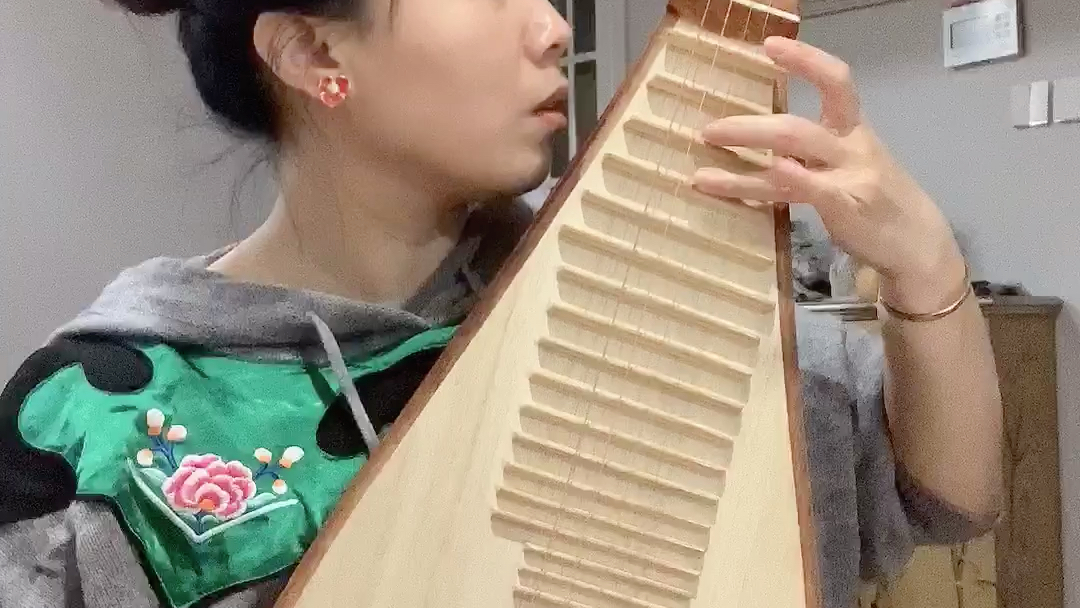 琵琶梁老师弹《凉凉》还真有点凉