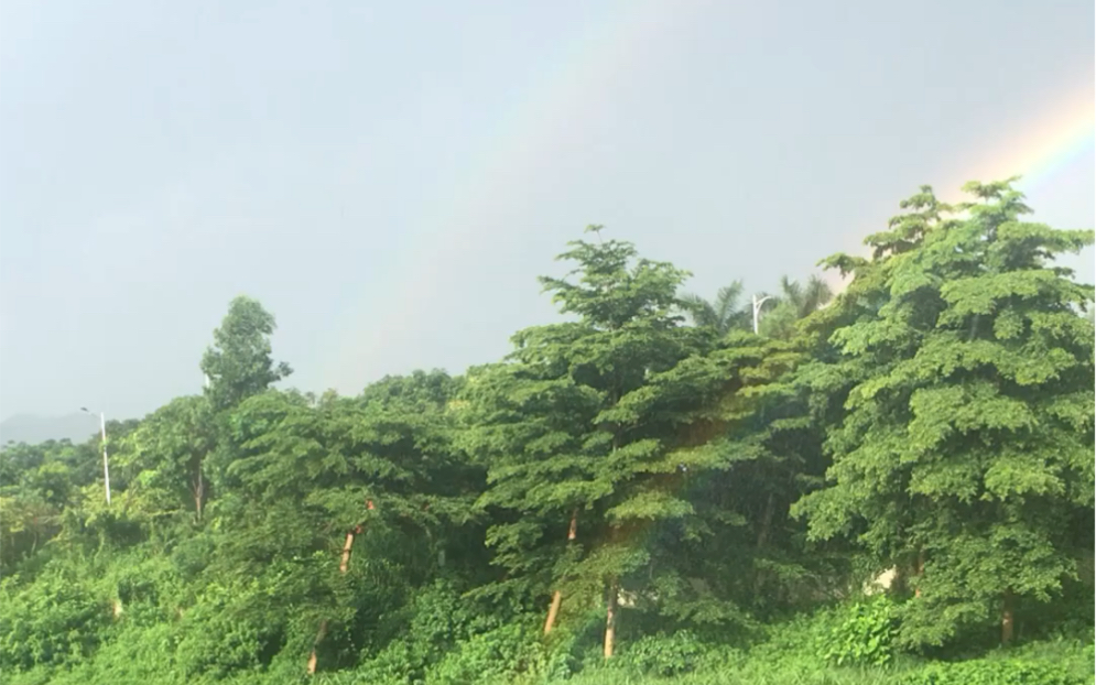 [图]风雨后的双彩虹