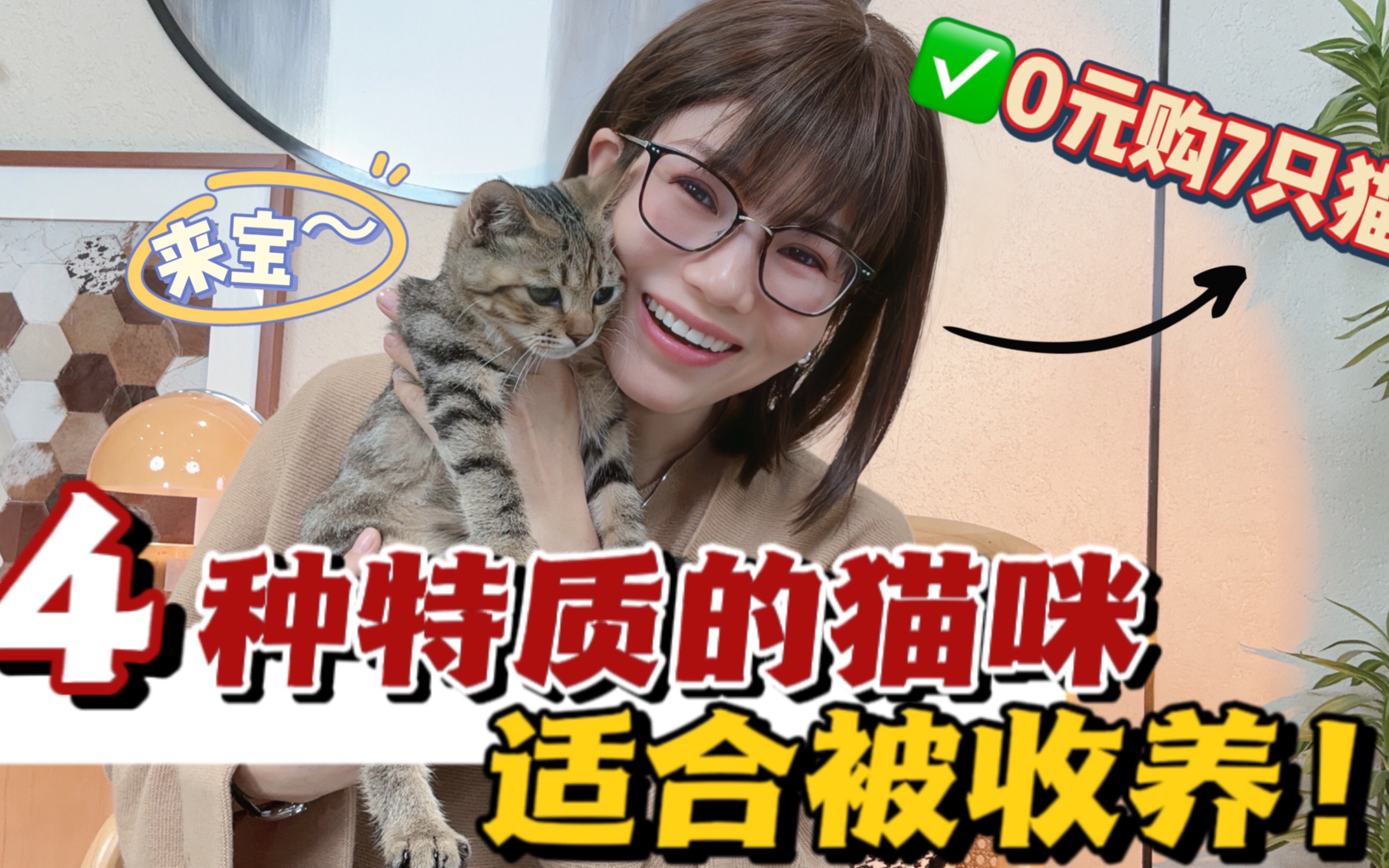 收养7猫心得|这4种流浪猫适合被带回家❗️不是所有流浪猫都适合被收养!养前评估一定要做哦~哔哩哔哩bilibili