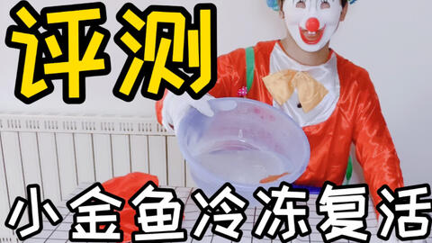 搜索 哔哩哔哩 つロ干杯 Bilibili