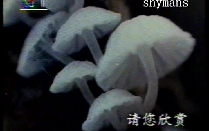 [图]1994 CCTV-1 请您欣赏