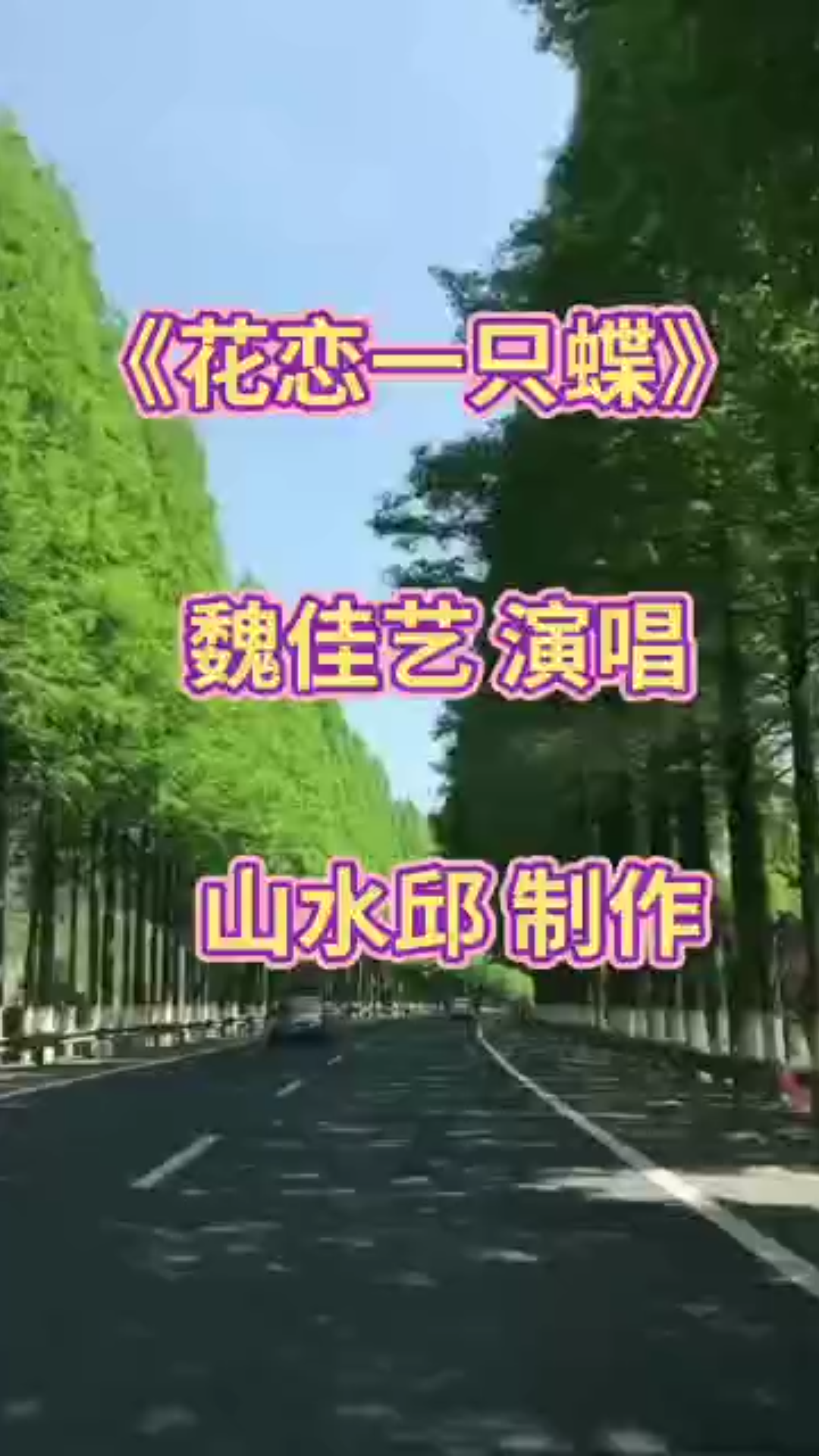 花恋一只蝶简谱图片