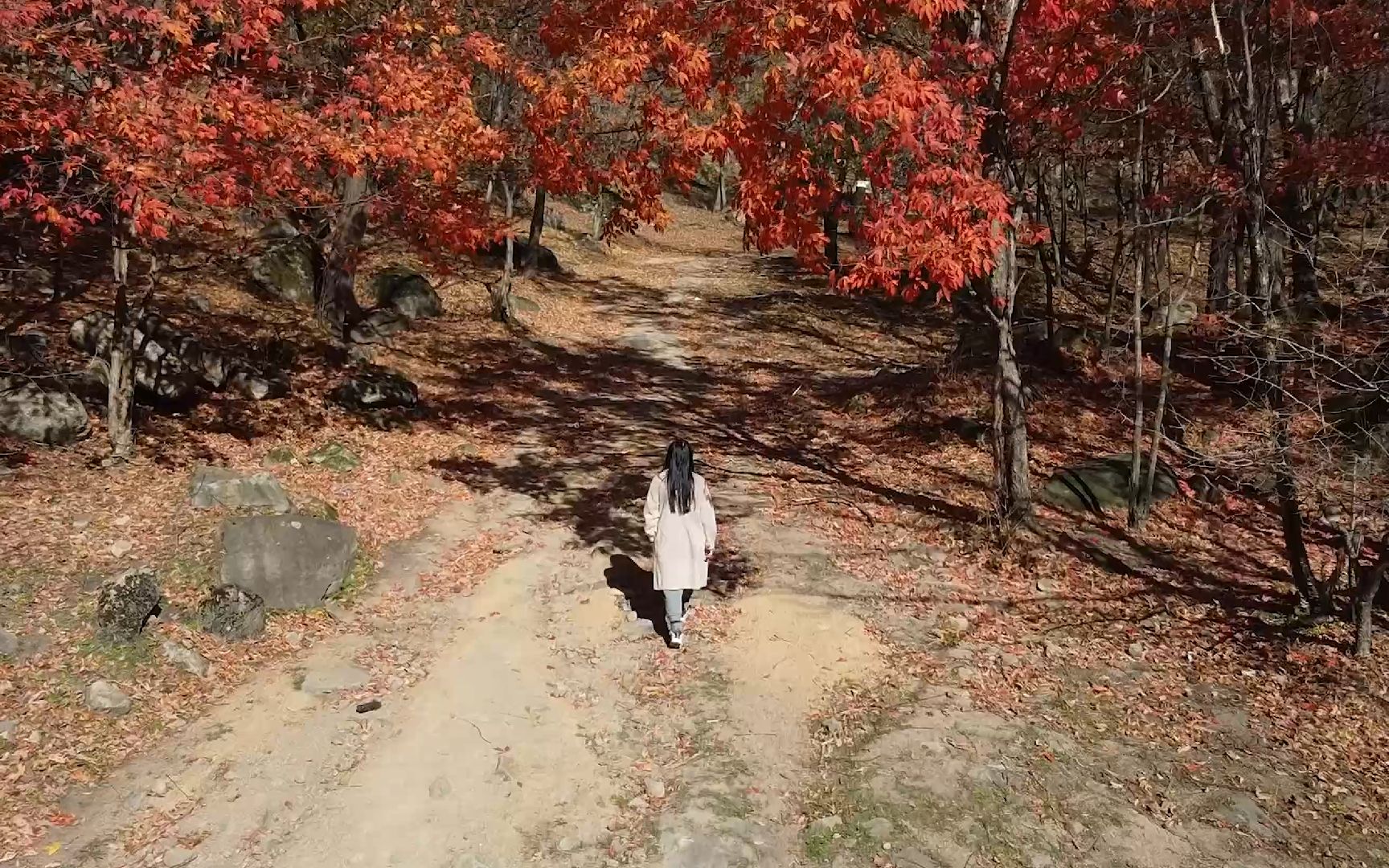 秋日徒步 | 蛟河鹿角沟