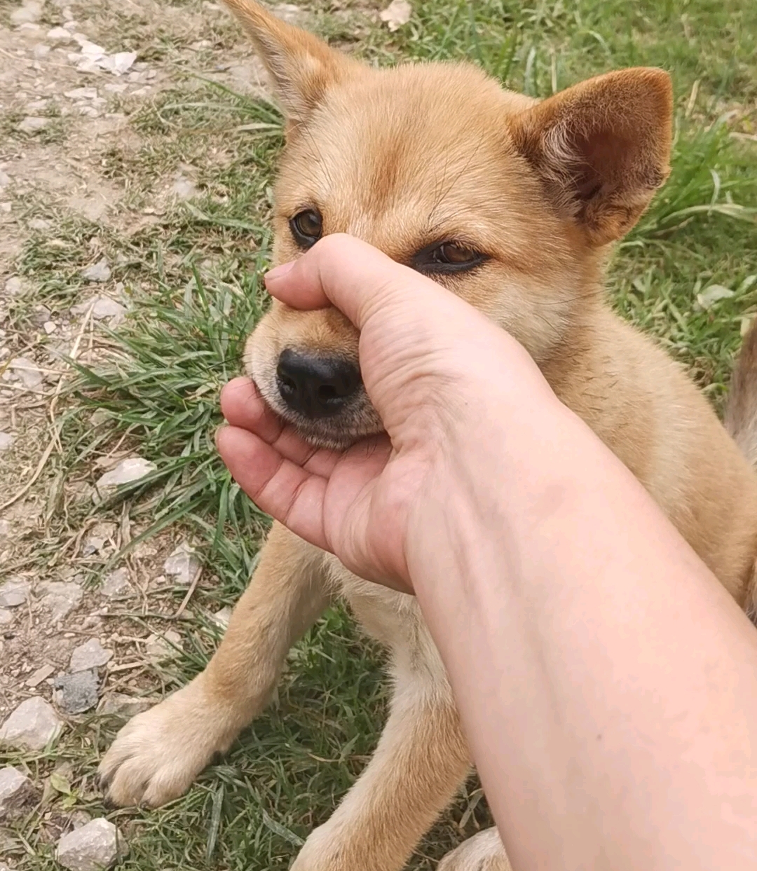 农村的狗子让捏嘴筒子-鹿屿森阿洛-默认收藏夹-哔哩哔哩视频