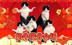 Download Video: 猫猫春晚之奶牛猫跳舞专场