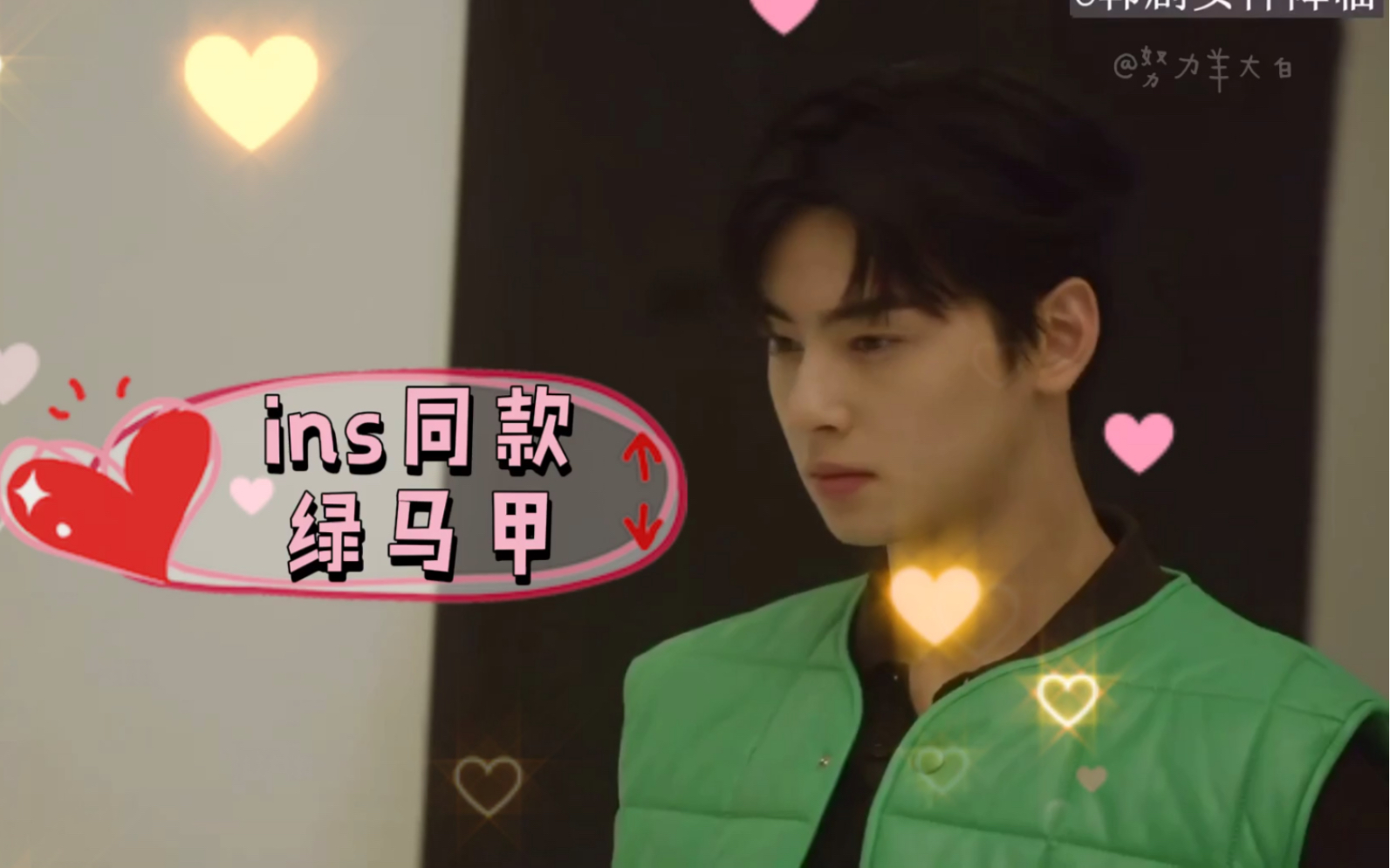 佳优夫妇ins四叶草原来绿色马甲也是有意义都是和你相关