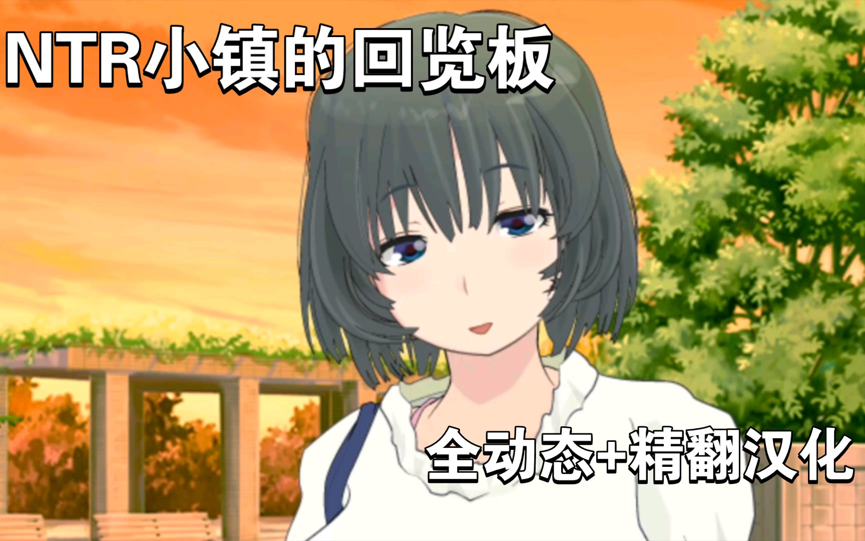 【rpg/pc 安卓joi/精翻汉化】ntr小镇的回览板