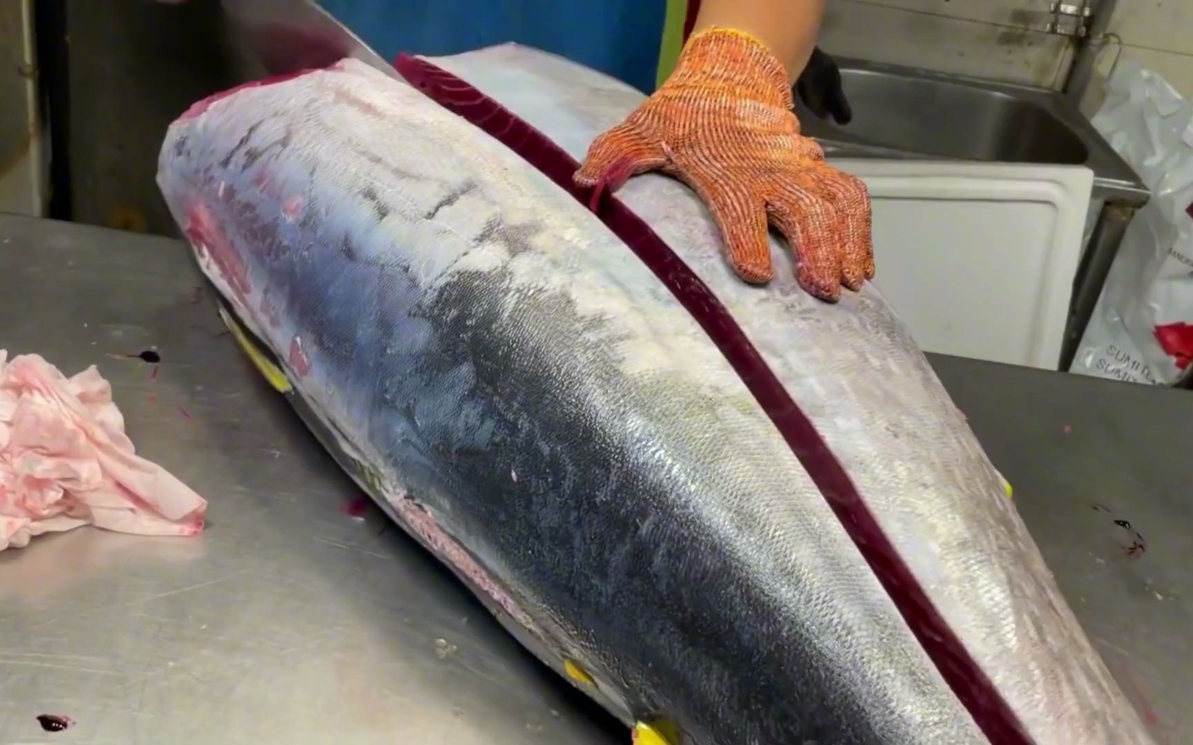 广东老板8万买条蓝鳍金枪鱼,让新来大厨小试牛刀,刀功行云流水