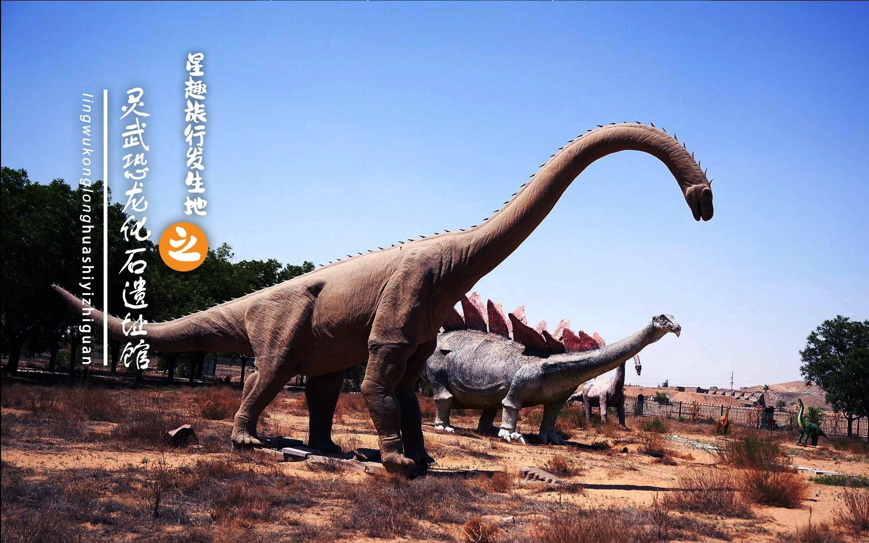灵武恐龙化石遗址电话图片