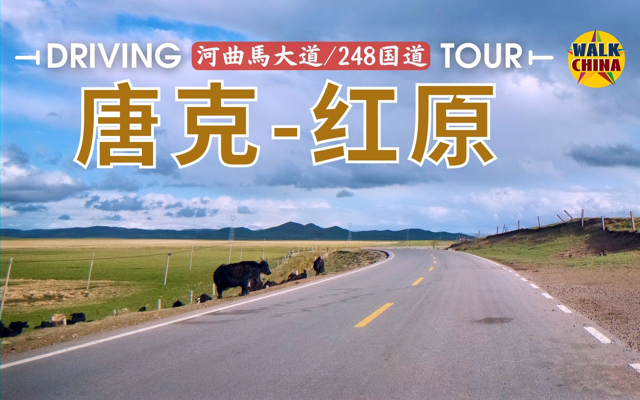 80公里草原风光4K超清驾车|唐克至红原县 | 248国道,河曲马大道哔哩哔哩bilibili