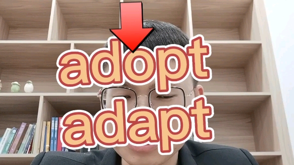 一个小故事,快速区分adopt adapt哔哩哔哩bilibili