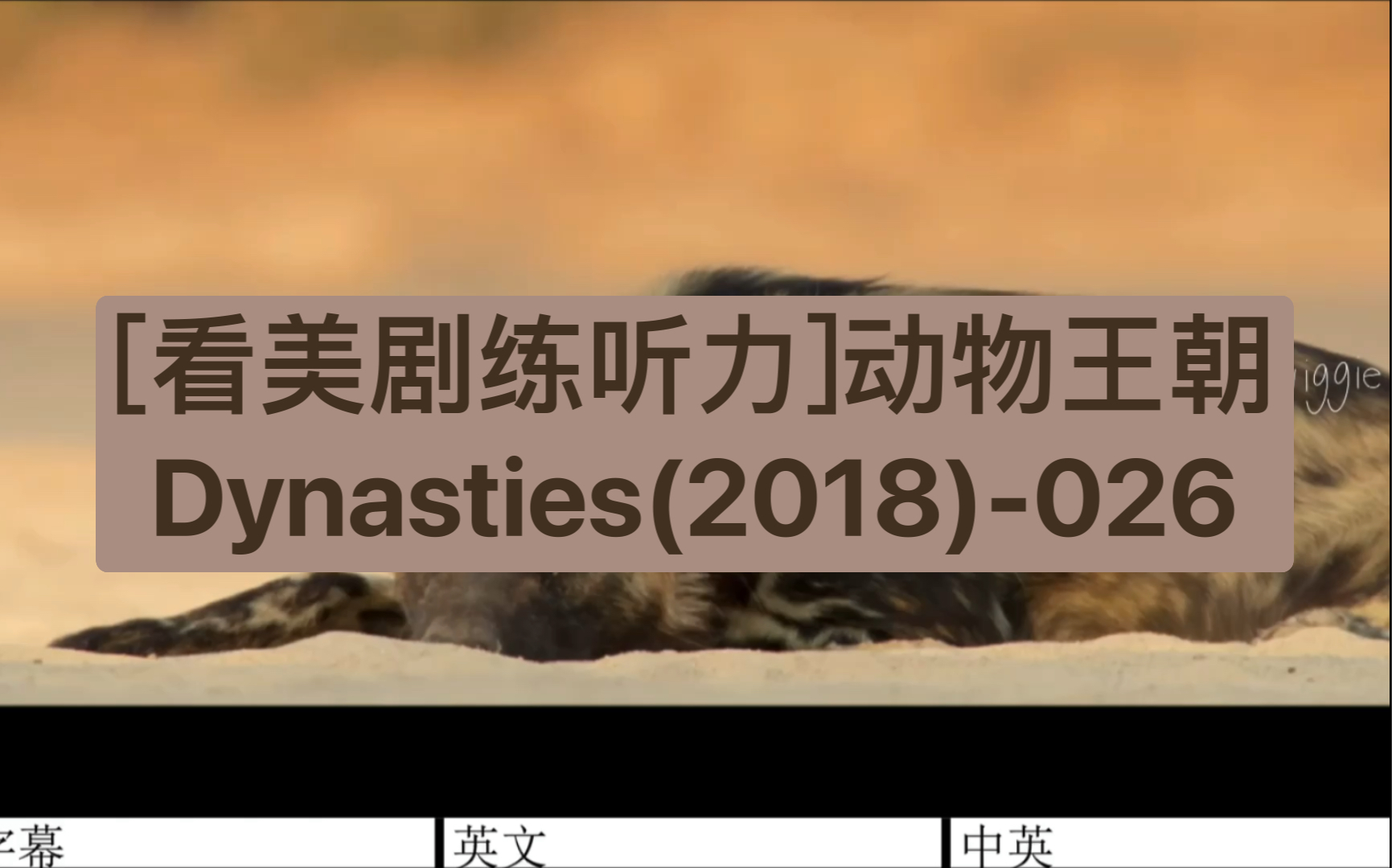 [图][看美剧练听力]动物王朝Dynasties(2018)-026