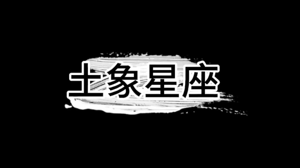 土象星座哔哩哔哩bilibili