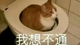 艾尔之光-我要这狐火有何用-114boss运输机的狐火追踪bug演示