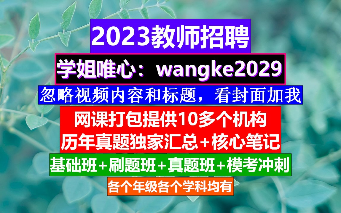 2023河南省教师招聘初高中历史,教招网课哪个机构比较好,教师应聘简历哔哩哔哩bilibili