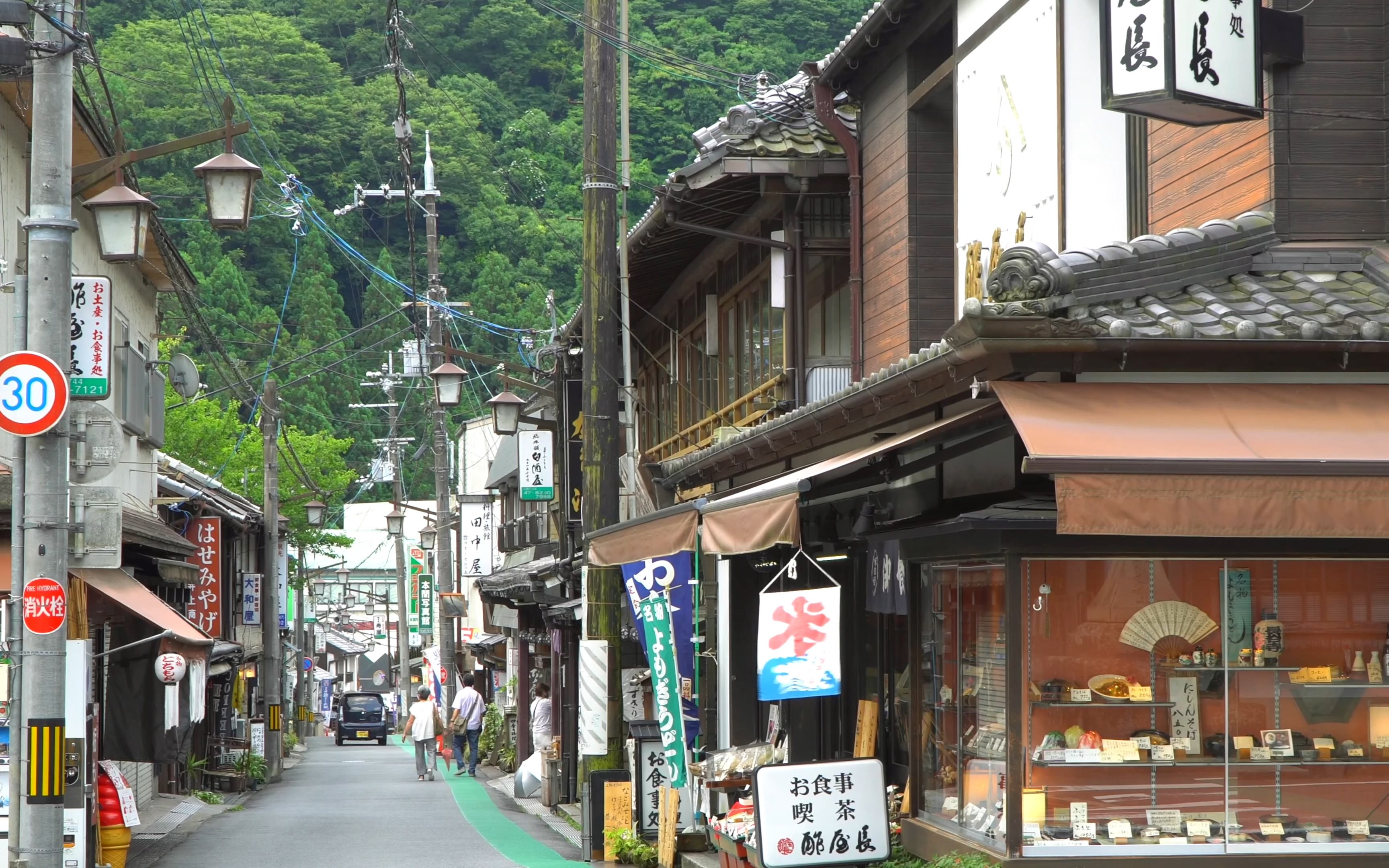 【4K】〜花の御寺・长谷寺〜 あじさい爱でる6月(奈良県桜井市)哔哩哔哩bilibili