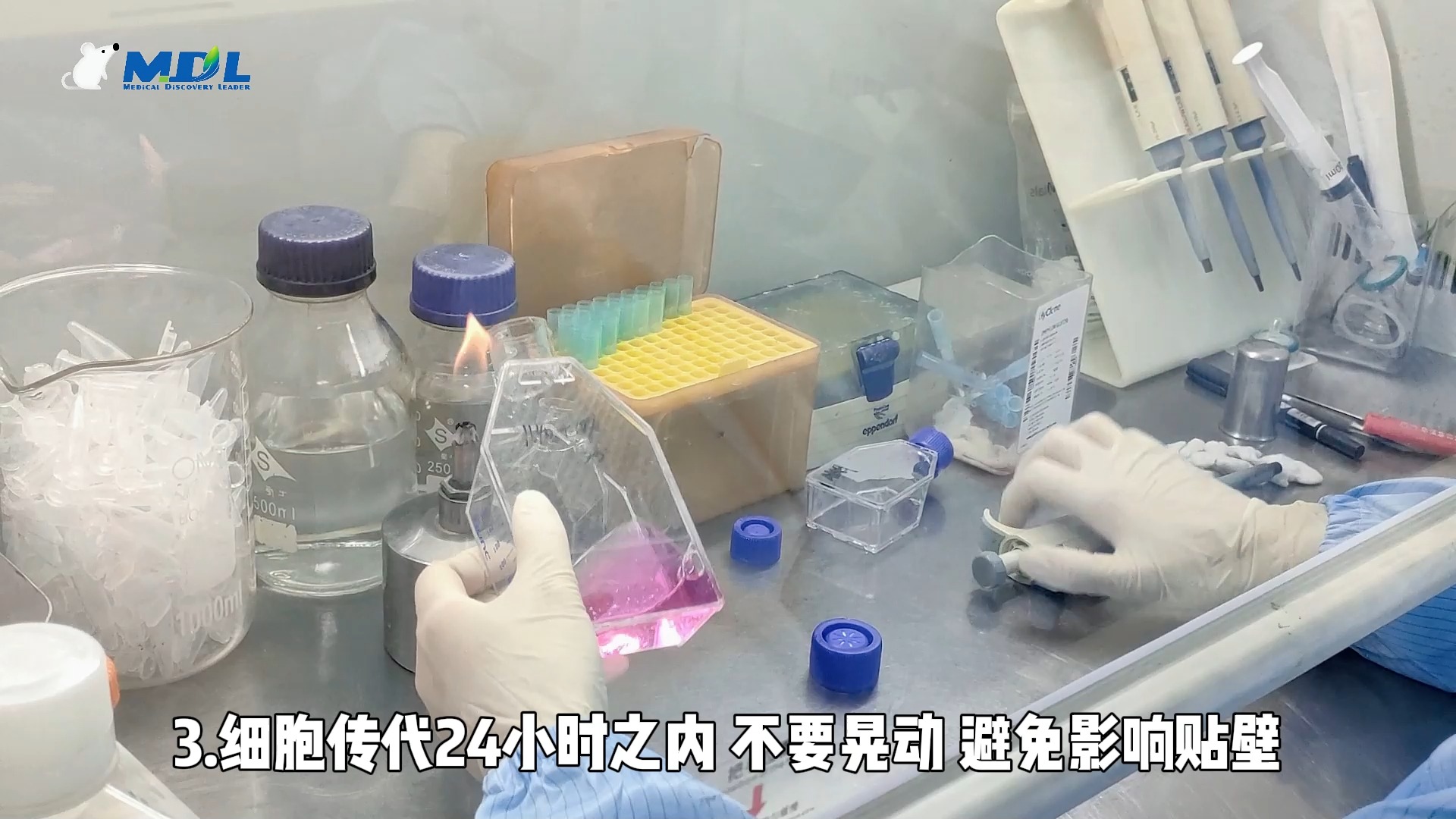 细胞培养不贴壁怎么办