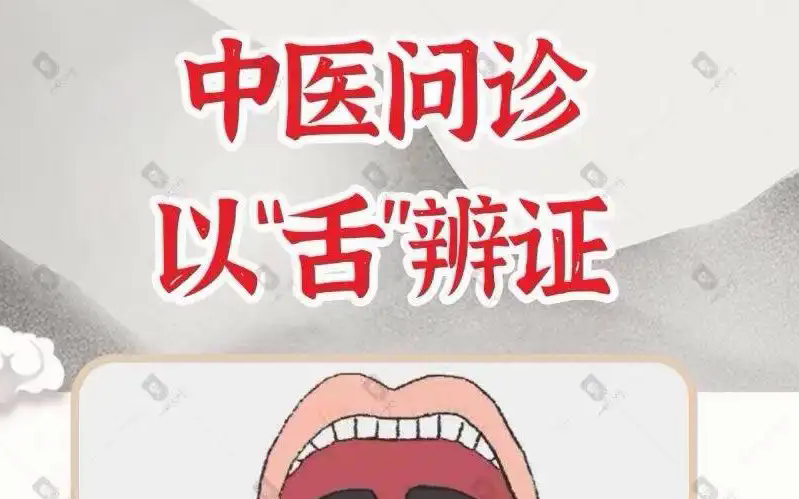 【中医(舌诊)教学片 / 学习中医: 传承中医精神 弘扬中医文化 ,传承国粹精髓】哔哩哔哩bilibili