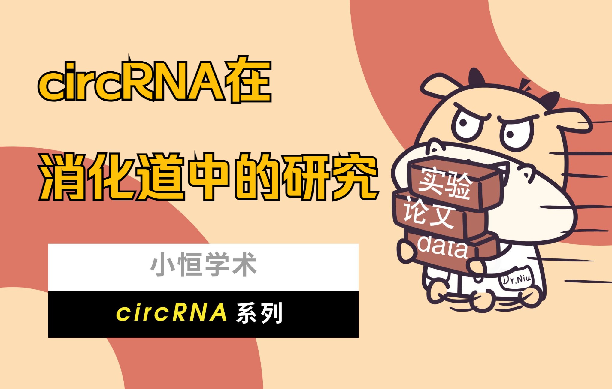 circRNA在消化道中的研究哔哩哔哩bilibili