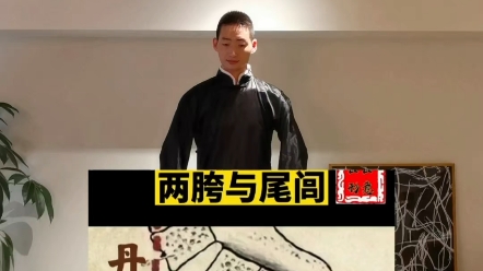 站桩中的两胯与“尾闾”哔哩哔哩bilibili