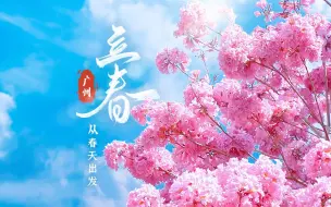 Download Video: 【花城航拍】广州丨是日立春，从春天出发