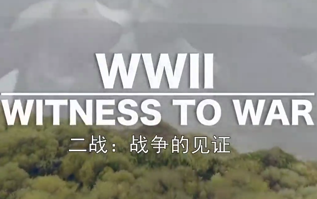 [图]【纪录片】《二战：战争的见证》超清（全12集）