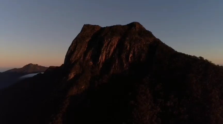 海南乐东县尖峰岭,e起探索神秘热带雨林景观!哔哩哔哩bilibili