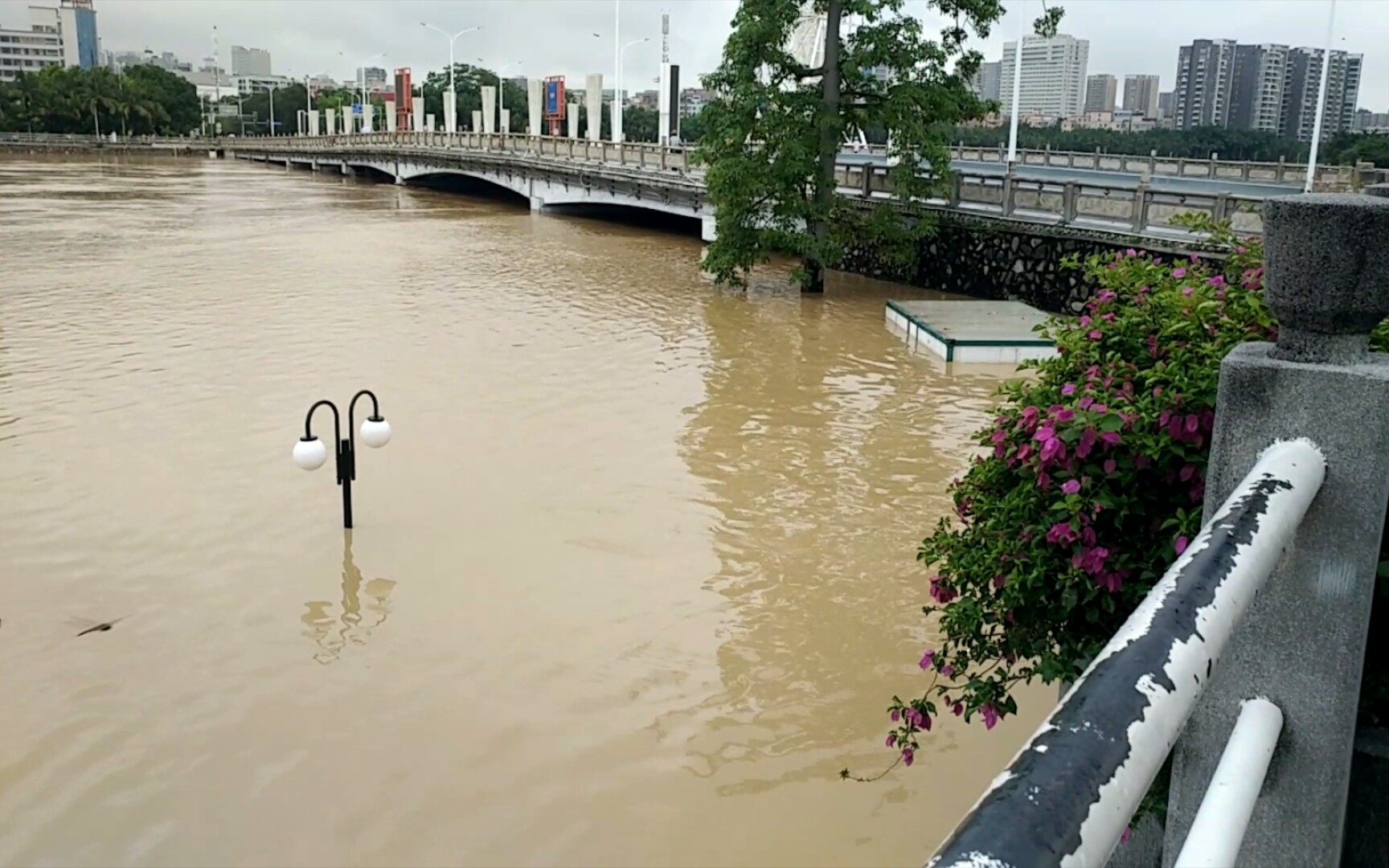 这个b暴雨把茂名小东江淹了太开心了
