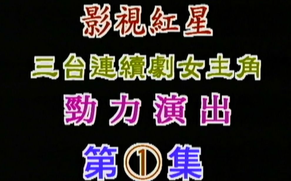 《金燕pub豪华歌舞酒店秀 第一集》(台湾金燕唱片/ld超清版)