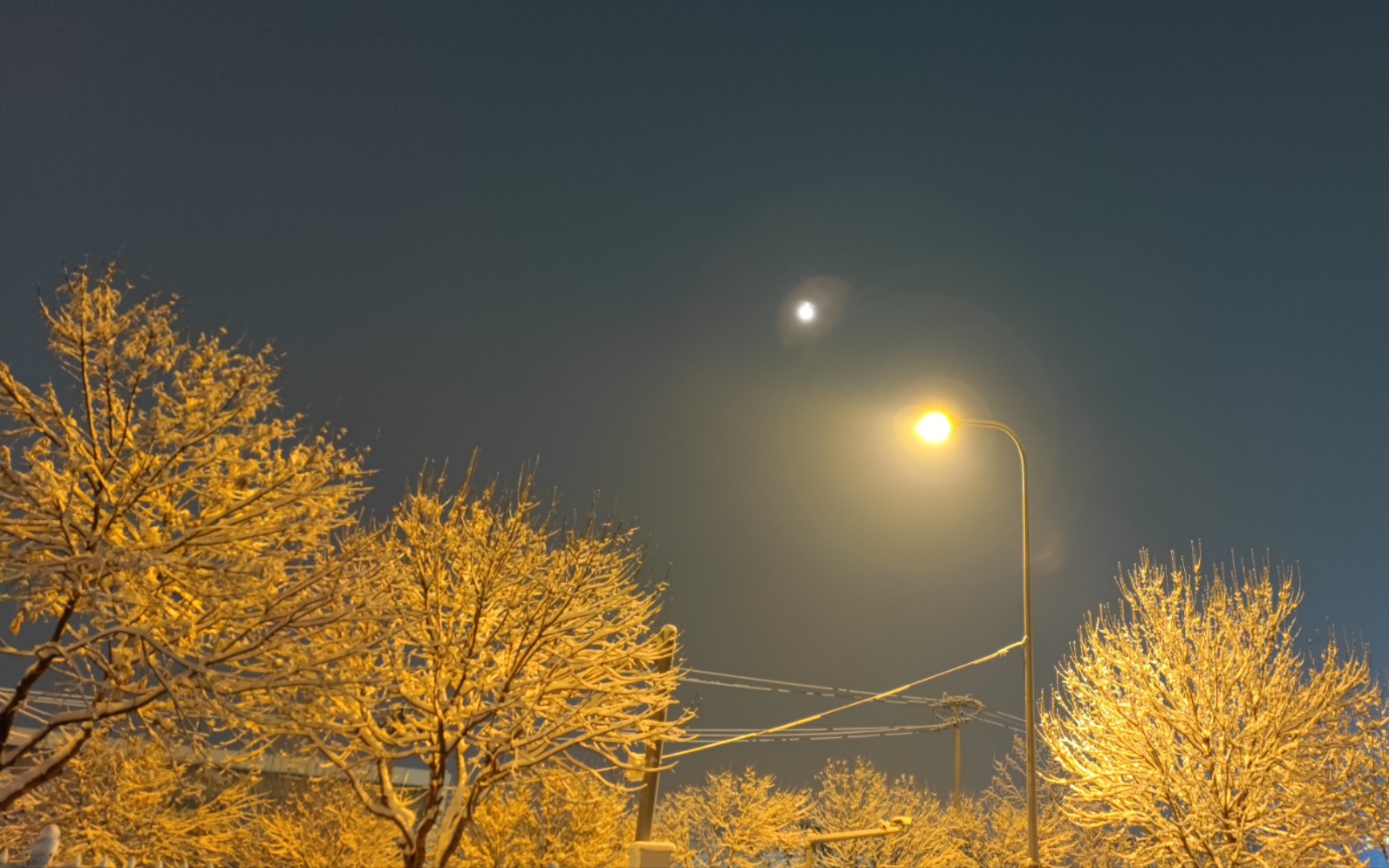 《关于我发现亮着暖光的路灯和落满白雪的树丫超级