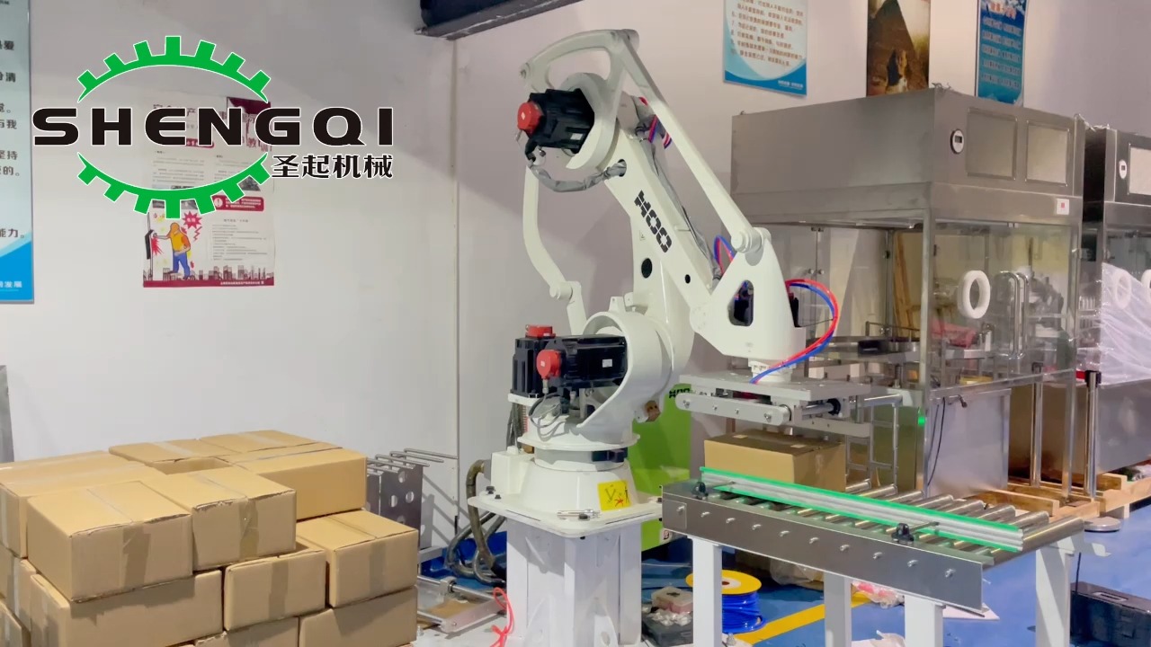 流水线纸箱编织袋自动搬运码垛机器人中国制造