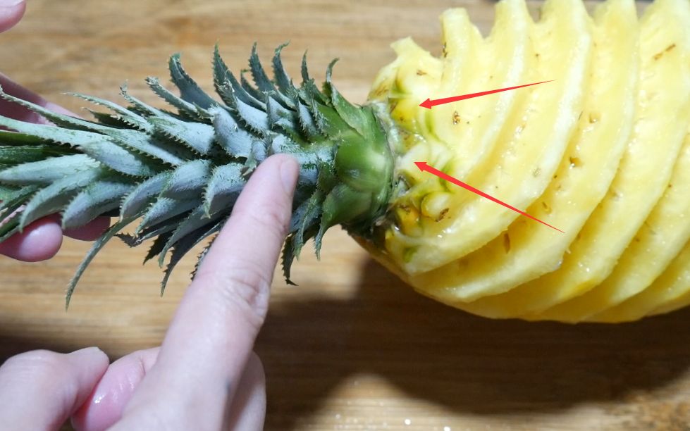 原来种菠萝这么简单,一个菠萝头就能种,学会回家也试试