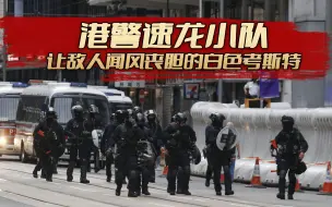 Download Video: 港警的速龙小队，让敌人闻风丧胆的白色丰田考斯特。