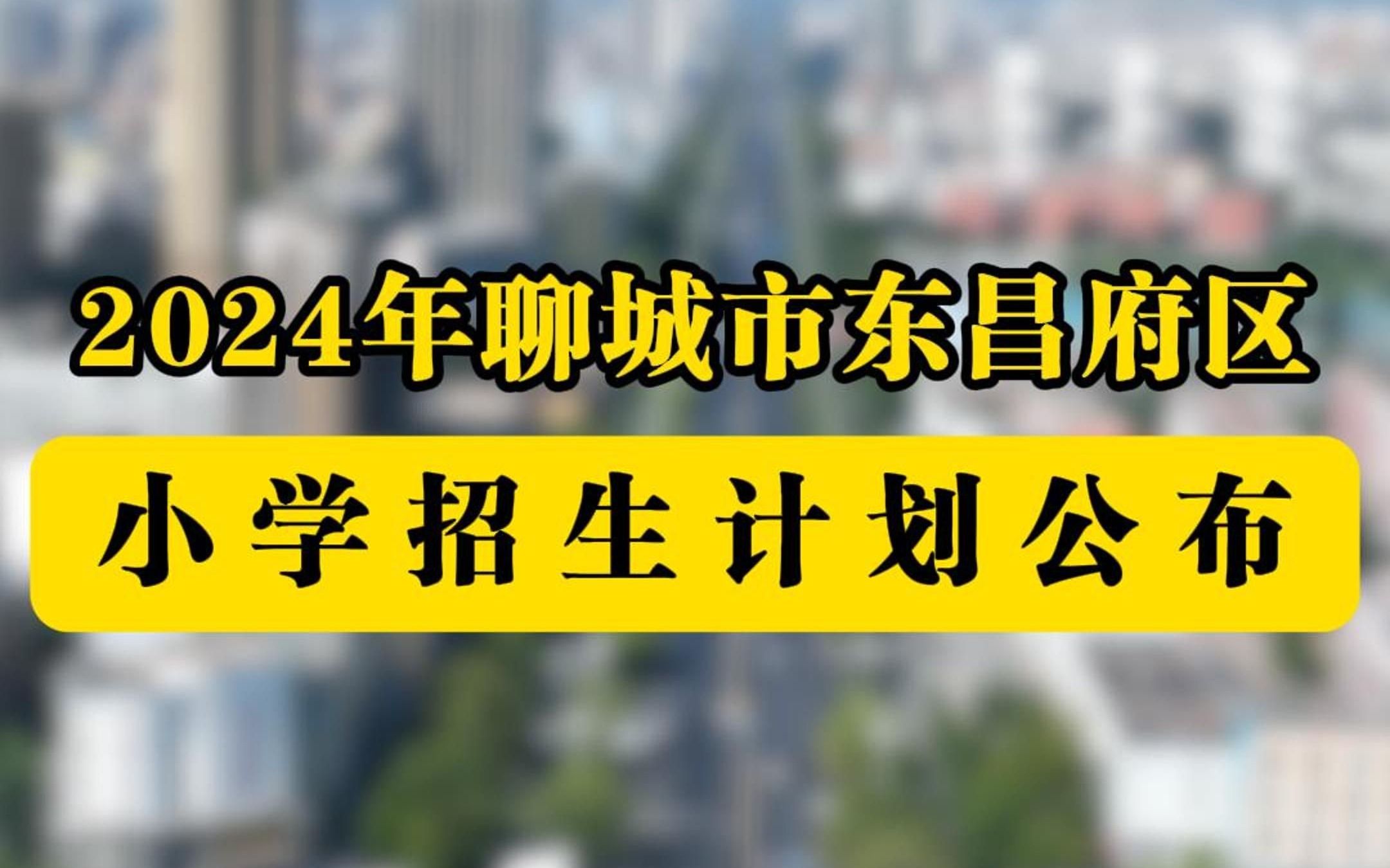 2024年聊城市东昌府区小学招生计划公布哔哩哔哩bilibili